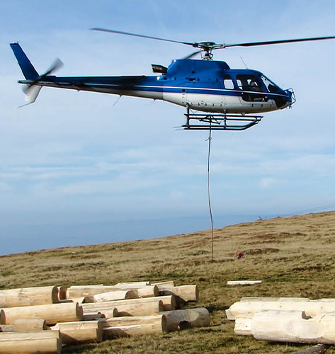 Reno Helicopter Logging